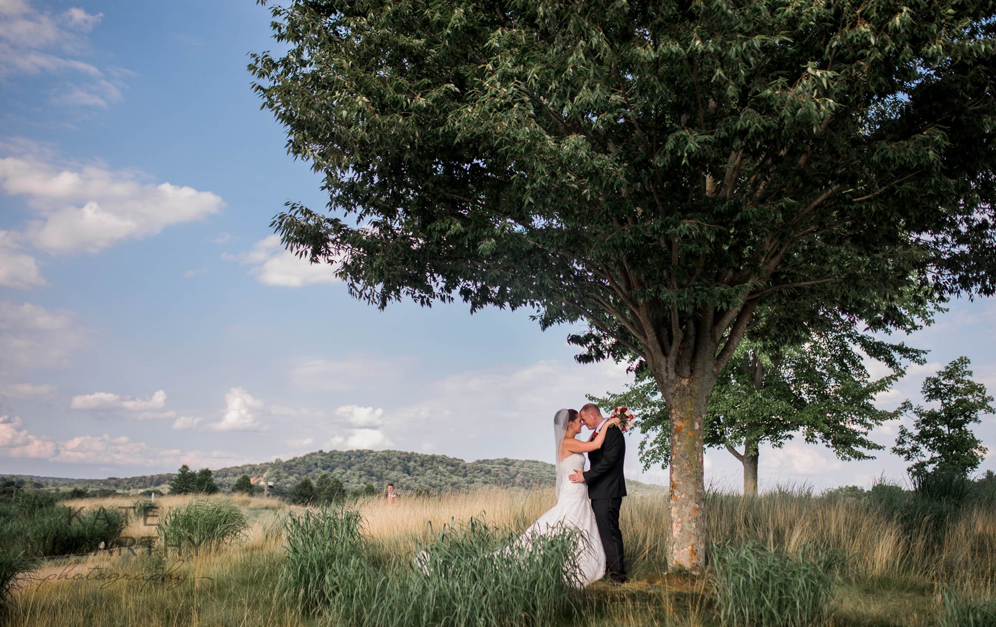 Krievins_Wedding_mt_view