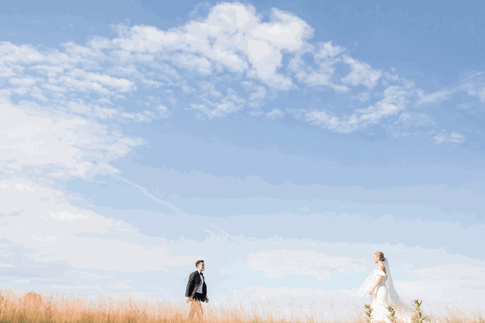field_sky